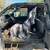 2005 F-250 3 thumbnail