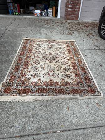 Oriental-style carpet in great condition 1