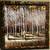 Wood framed painted canvas birch tree print 4 thumbnail