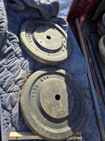York 50 lb weights 1