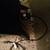 Electric Smoker In good working condition 4 thumbnail
