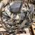 ★ 2012 - 2013 Ford Explorer - 2.0 L ENGINE - #F35392 ★ 2 thumbnail