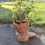 Planter. Super Cute ( Groot ) 5 thumbnail