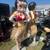LIFE SIZE STATUES OF ALL KINDS NEW SEE PICS 12 thumbnail