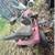 Riding lawnmower - Read Description 1 thumbnail