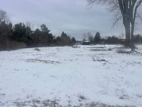 $28,000 Discover your perfect piece of land! 895 W. Moore Street (Mecosta)63793453398145122