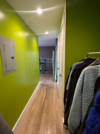 $750 / 1br - Apartamento de 1 dormitorio en Bushwick/Bedstuy para subarriendo corto (Brooklyn)63854291052161124