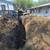 Sewer line 2 thumbnail