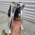 Shimano Dura Ace 7700 9 speed mini group 1 thumbnail