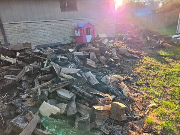 Split Blackwalnut or pine fire wood 1