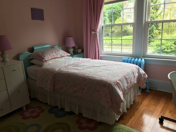 Solid wood twin bed, aqua blue 1