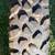 4 Carlisle Trail Pro ATV / UTV Tires Made in USA Excellent Condition 11 thumbnail