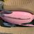 SCOOTER TRAILMASTER MELODY 50 M49cc 2025 LOW HOURS BAD TRANSMISSION 14 thumbnail