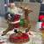 Santa and Deer 2 thumbnail