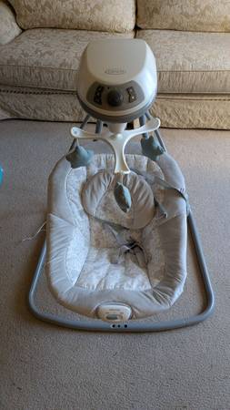 Graco Baby Swing 1
