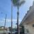 Tree and Palm Service 13 thumbnail