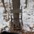 Lone Wolf Climbing Tree Stand 2 thumbnail