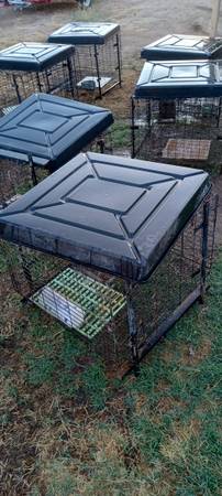 Rabbit cages (Terra Bella)63873027112707120