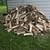 Kiln-dry firewood 9 thumbnail