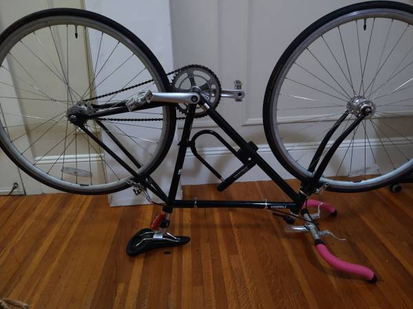 Fuji Feather 1