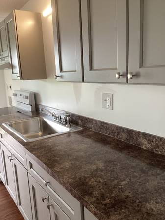 $1,000 / 1br - 800ft2 - Newly Renovated 1BR 1 Bath Apartment for Rent (Parksley)63839300534785121