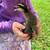 Ducklings 1 thumbnail