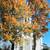 Extraordinary New Jersey, beautiful book 7 thumbnail