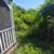 "Arturo" Landscaping 3 thumbnail