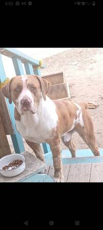 Mi chico...65344086732803120