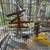 Cockatiel 3 thumbnail
