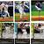 145 diff 1997 Topps Stadium Club Members Only Versions Baseball Cards 1 thumbnail