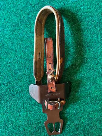 Gentle Control Hackamore 1