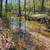 Arkansas  Ozarks 12 thumbnail