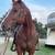 Sorrel Gelding 7 thumbnail