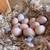 Swedish Flower Hen chicks 19 thumbnail