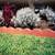 Pavers Red Straight Scallop Concrete Edger 3 thumbnail