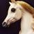 1983 Barbie dream horse Prancer w/all accessories 5 thumbnail