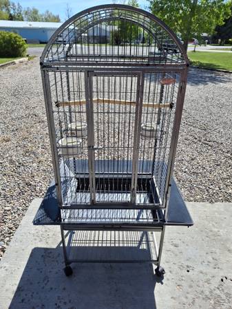 Bird Cage 1