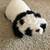Pillow Pets 4 thumbnail