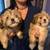 Lhasa apso 2 thumbnail
