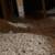 ⭐ Attic & Crawl Space | Insulation • Mold Removal • Rodent Proofing⭐ 8 thumbnail