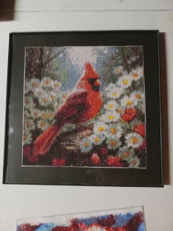 Cardinal diamond art 1