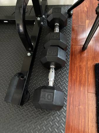 Set of 40 lbs dumb bells 1