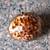 Tortoise Shell Rosary, Jewerly Box 1 thumbnail