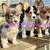 Corgis 1 thumbnail