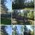 DARINEL'S  TREE SERVICE & LANDSCAPING LLC 21 thumbnail