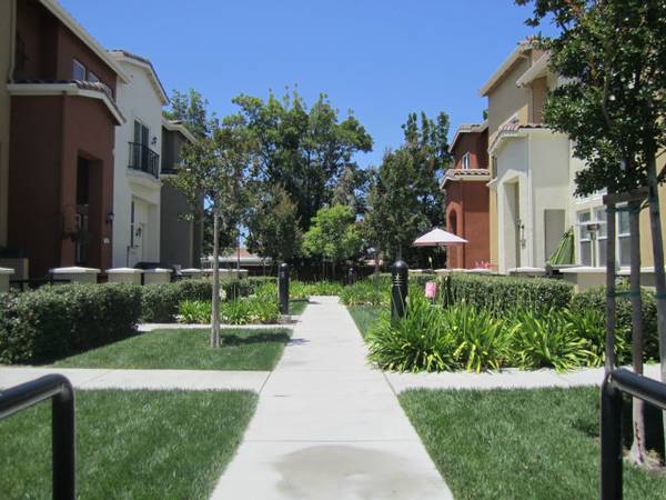 $3,895 / 3br - 1607ft2 - 3 habitaciones, 2.5 baños, hermosa casa adosada de lujo en (san jose sur)63858055001217120