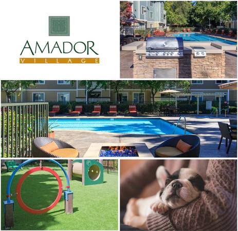 $2,530 / 1br - 873ft2 - 2 weeks Free! 1x1, W/ in unit W/D! PET FRIENDLY - LARGE LAYOUT (hayward / castro valley)63880017046275120