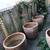 Beautiful terra cotta pots 3 thumbnail