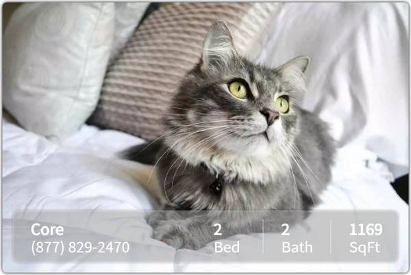 Conveniently located! College campus close by! 1